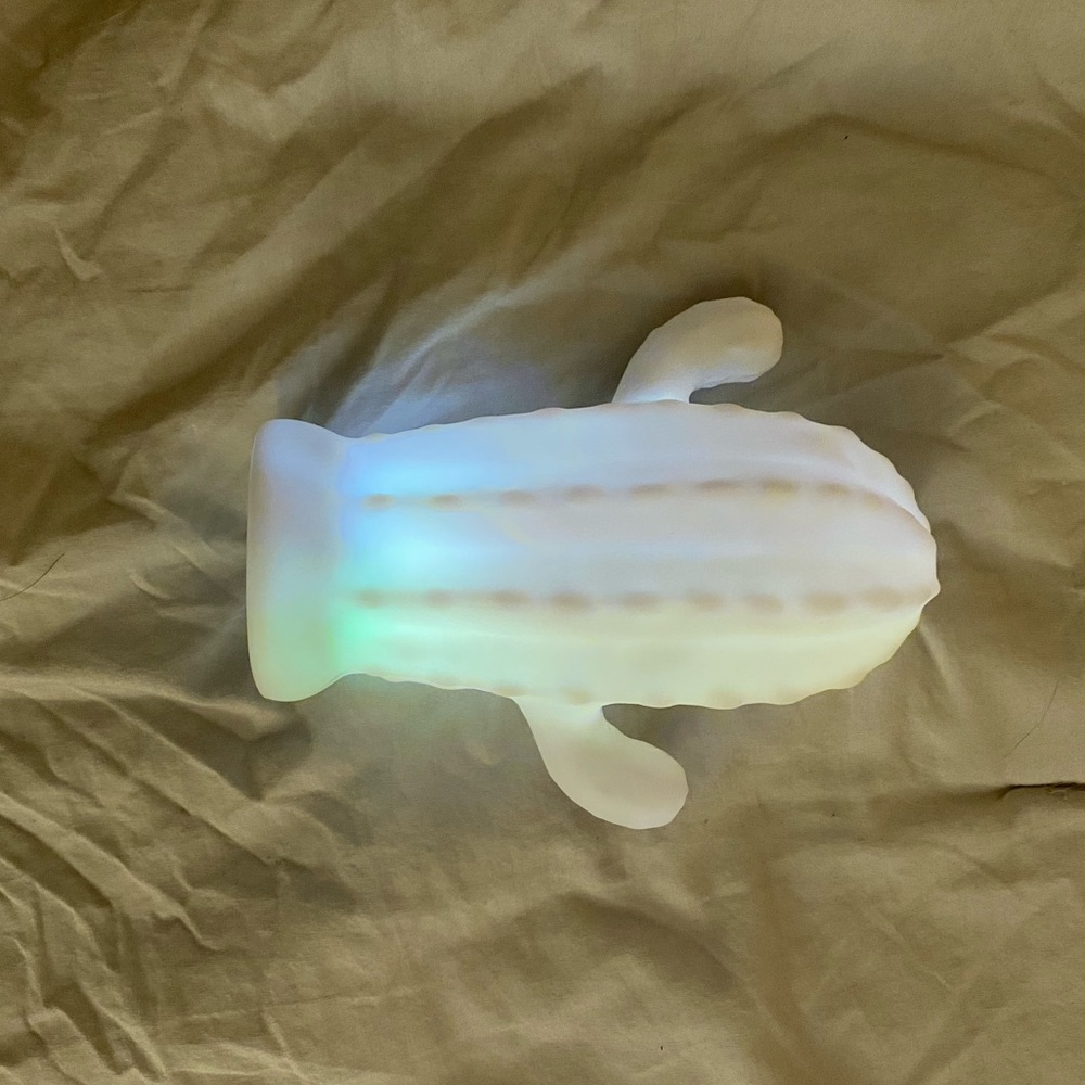 color changing cactus light!!!